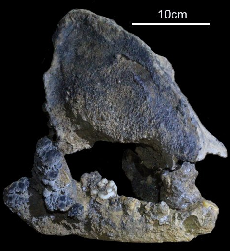 Cizhutuo-panda+22000+%25CF%2587%25CF%2581%25CF%258C%25CE%25BD%25CF%2589%25CE%25BD.jpeg - Αρχείον Πολιτισμού