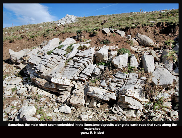 grevena-70000-xronon-ergaleia-1929717426.jpeg - Αρχείον Πολιτισμού