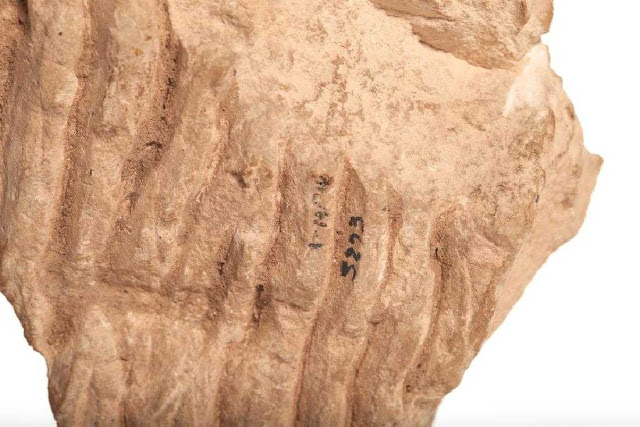 xepoulietai-o-megas-akexandros-204465922.jpeg - Αρχείον Πολιτισμού