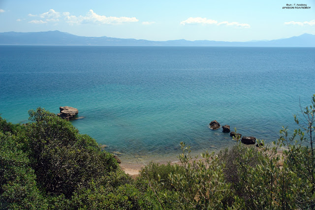 agrioxortolivado-o-kynos-1973031917.jpeg - Αρχείον Πολιτισμού