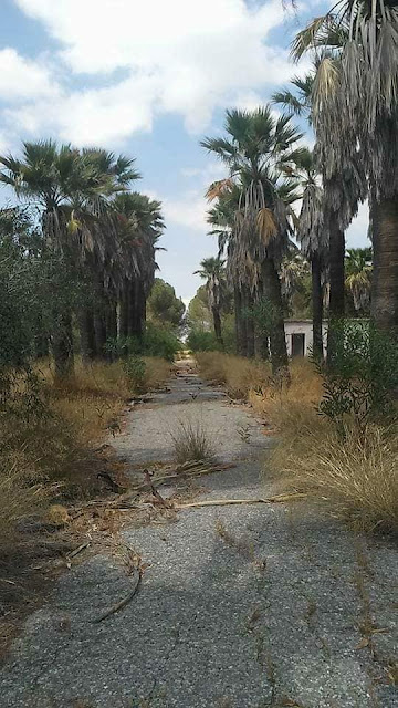 i-pio-anisi-maxi-ton-neoteron-xronon-2099674899.jpeg - Αρχείον Πολιτισμού