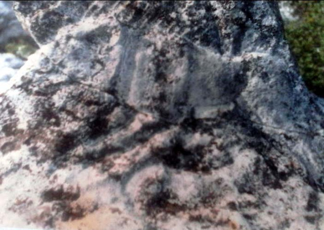 arxaios-tafos-me-kapro-stin-ithaki-1508556925.jpeg - Αρχείον Πολιτισμού