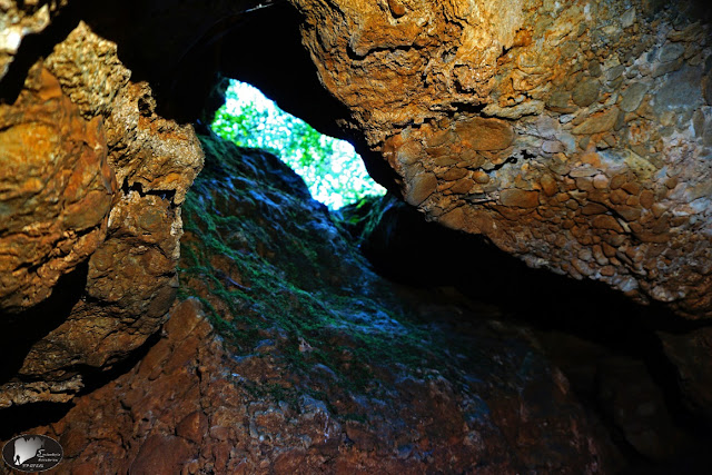 spilaio-artemis-petra-olympou-1620201169.jpeg - Αρχείον Πολιτισμού