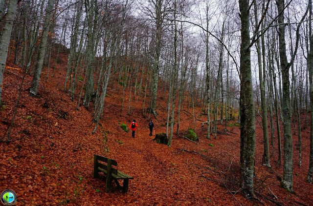 %25CE%25A7%25CE%2591%25CE%2599%25CE%259D%25CE%25A4%25CE%259F%25CE%25A5%25CE%25A3+%25CE%25B4%25CE%25AC%25CF%2583%25CE%25BF%25CF%2582.jpeg - Αρχείον Πολιτισμού