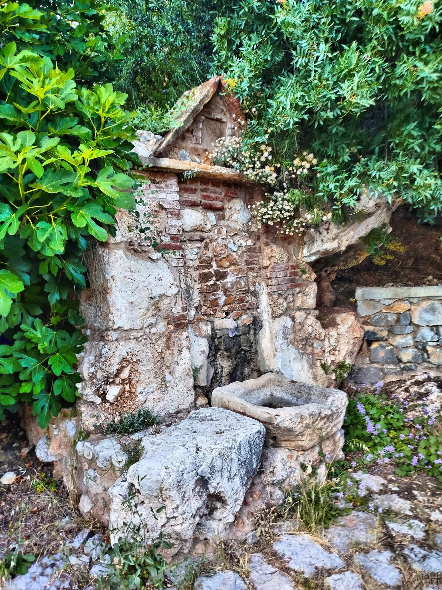 Ruined stone wall and small alcove overgrown with ivy and flowering plants