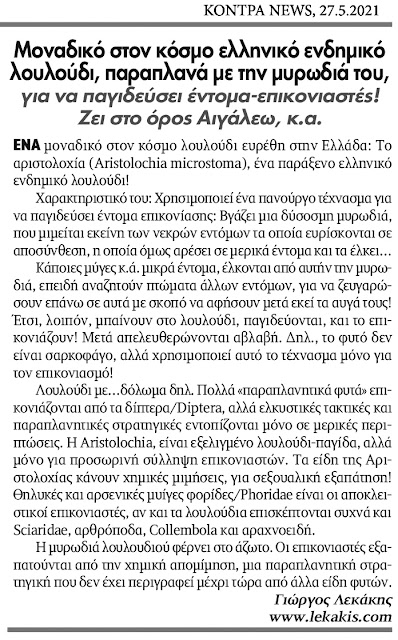 monadiko-elliniko-endimiko-louloudi-pagida-1869665681.jpeg - Αρχείον Πολιτισμού