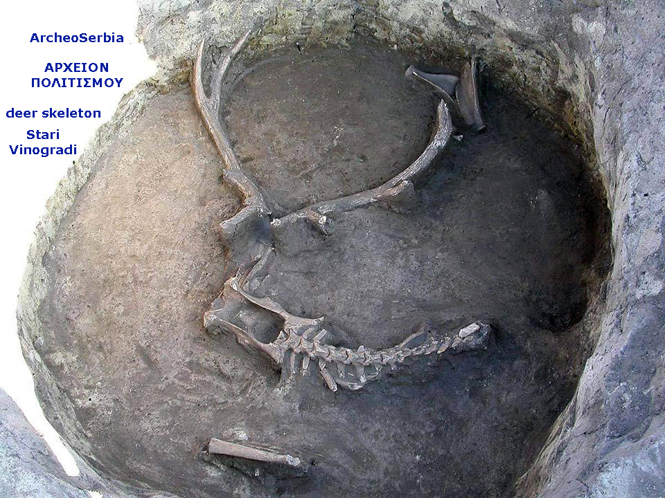 teletourgikos-thammena-elafia-sti-servia-200568816.jpeg - Αρχείον Πολιτισμού