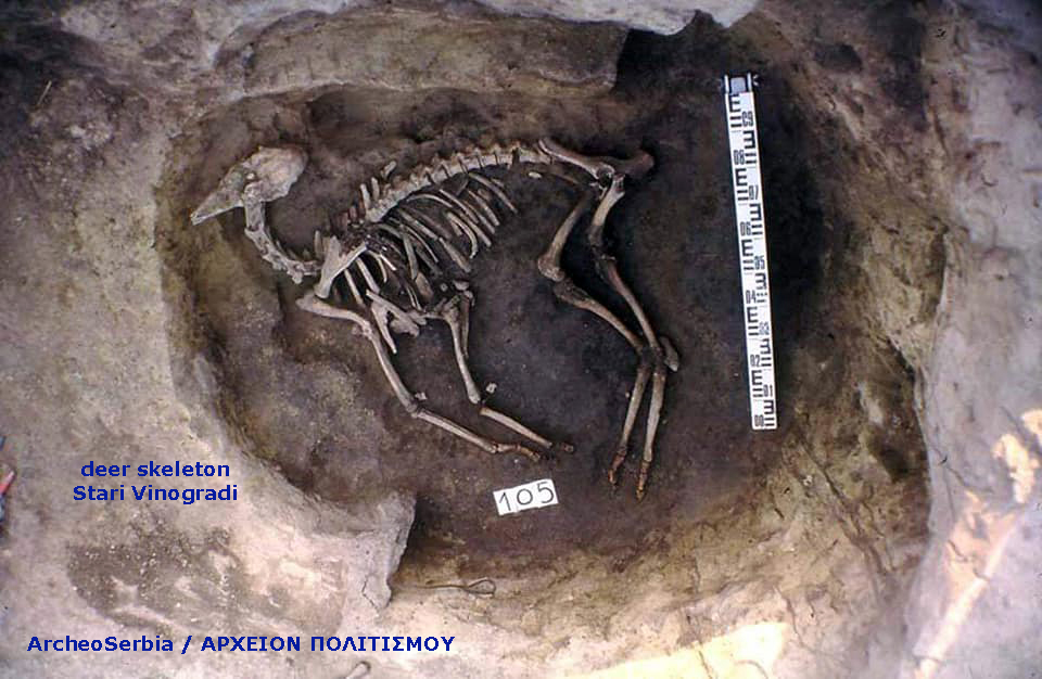 teletourgikos-thammena-elafia-sti-servia-573963473.jpeg - Αρχείον Πολιτισμού