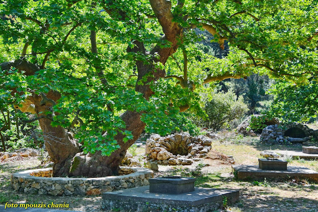 gavaloxori-xanion-850544409.jpeg - Αρχείον Πολιτισμού