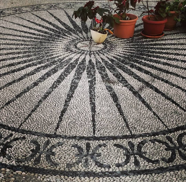 @%CE%92%CE%9F%CE%A4%CE%A3%CE%91%CE%9B%CE%A9%CE%A4%CE%9F%20%CE%9A%CE%91%CE%A3%CE%9F%CE%A5.jpeg - Αρχείον Πολιτισμού