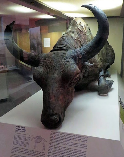 %CE%91%CE%9B%CE%91%CE%A3%CE%9A%CE%91-%CE%B2%CE%AF%CF%83%CF%83%CF%89%CE%BD%CE%B1%CF%82%2050000%20%CF%87%CF%81%CF%8C%CE%BD%CF%89%CE%BD2.jpeg - Αρχείον Πολιτισμού