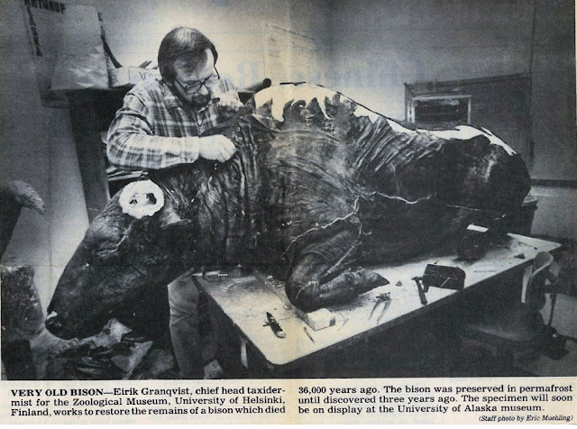 %CE%91%CE%9B%CE%91%CE%A3%CE%9A%CE%91-%CE%B2%CE%AF%CF%83%CF%83%CF%89%CE%BD%CE%B1%CF%82%2050000%20%CF%87%CF%81%CF%8C%CE%BD%CF%89%CE%BD3.jpeg - Αρχείον Πολιτισμού