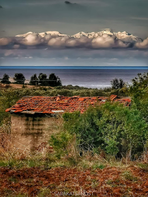 fata-morgana-1447386653.jpeg - Αρχείον Πολιτισμού