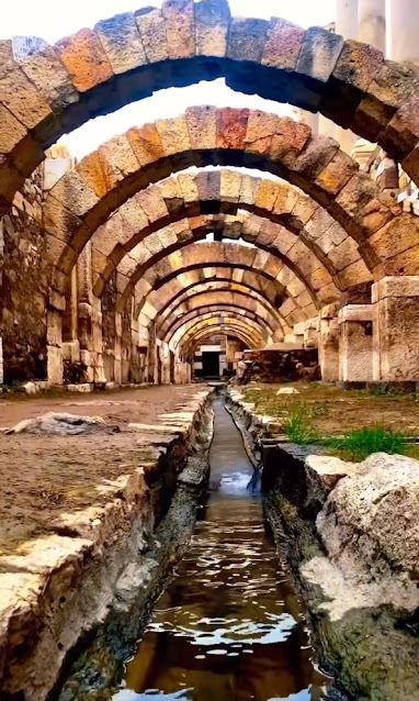 %CE%A3%CE%9C%CE%A5%CE%A1%CE%9D%CE%97--%CE%B1%CF%81%CF%87%20%CE%B1%CE%B3%CE%BF%CF%81%CE%AC.jpeg - Αρχείον Πολιτισμού