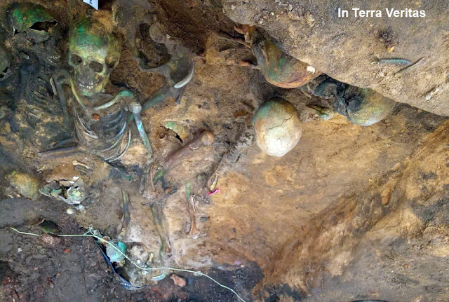 epidimies-panolis-nyremvergis-720934360.jpeg - Αρχείον Πολιτισμού