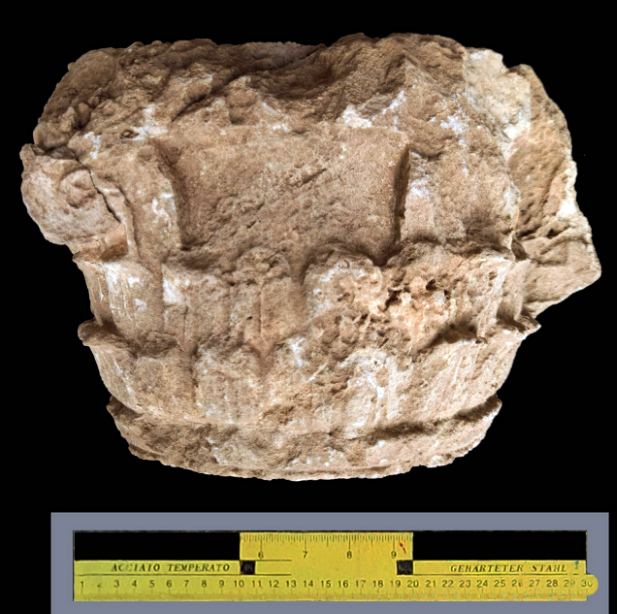 anaskafes-rypon-146479271.jpeg - Αρχείον Πολιτισμού