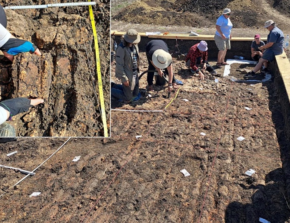 Archaeology team digs in a long rectangular trench, some workers kneeling and using measuring tapes and small tools.