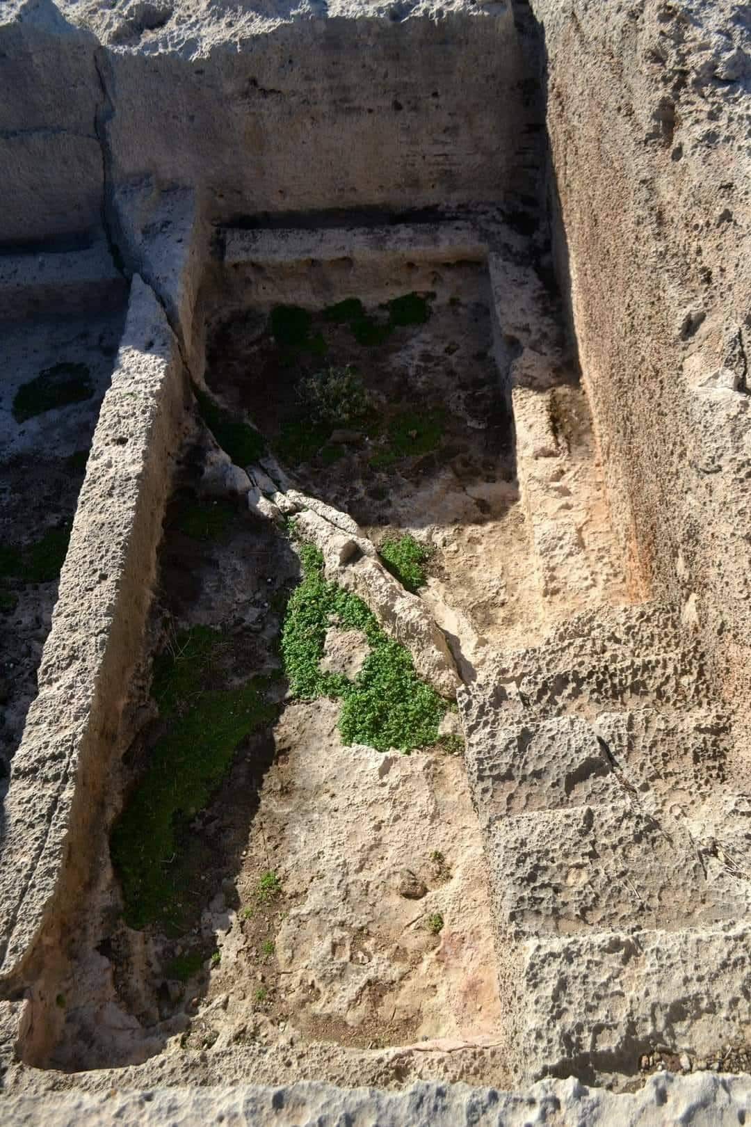 Rough stone ruin with a sunken rectangular pit and mossy green plants growing inside.