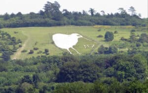 Large white bird-shaped chalk figure on a grassy hillside with trees and the letters NZ nearby (landmark view).