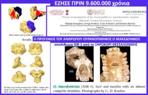 Poster-style scientific image showing virtual reconstruction of Ouranopithecus macedoniensis cranium with multiple 3D views and two fossil skulls; includes Greek titles and university logos (informative).