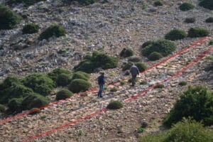 Two hikers walk along a rocky hillside marked by red tape lines amid low shrubs and stones.