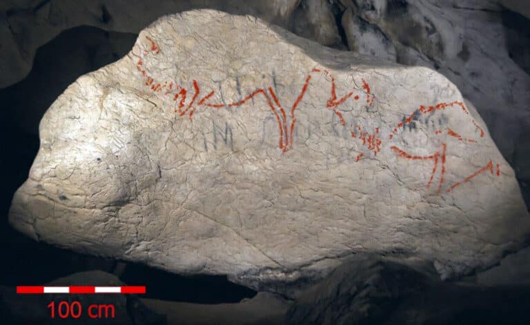 Rock inside a dark cave with red painted markings; scale shows 100 cm in bottom left for size reference.
