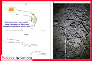 Panel A shows a Ladakh archaeological plan with trenches and room labels, and a blue title about ancient genomes and 2800-year admixture between Tibetans and South Asians.