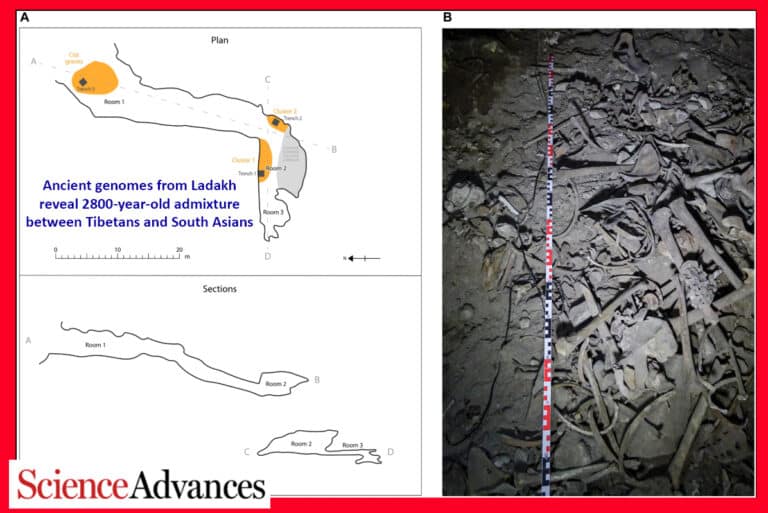 Panel A shows a Ladakh archaeological plan with trenches and room labels, and a blue title about ancient genomes and 2800-year admixture between Tibetans and South Asians.