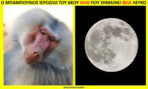 Δύο πάνελ: αριστερά κοντινό πορτρέτο ενός μπαμπούίνου, δεξιά πλήρης σελήνη πάνω σε μαύρο ουρανό.