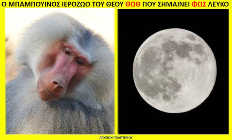 Two-panel image: left shows a close-up of a baboon's face, right shows a full moon in a dark sky.