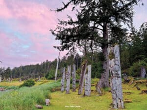 Row of weathered stone monoliths standing upright in a grassy field, with evergreen forest and a pink sunset sky.