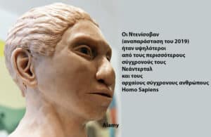 Clay bust of a Neanderthal man with a Greek caption about Neanderthals and Homo sapiens on the right panel.