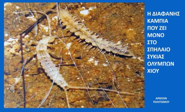 Poster-style image: left side a gold-brown marble texture with white crack lines, right side a solid blue panel with Greek title text and 'ΑΡΧΕΙΟΝ ΠΟΛΙΤΙΣΜΟΥ' at the bottom.