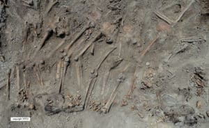 Archaeological dirt with numerous human skeletal remains partially buried in a trench area