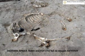 Ancient horse burial skeleton uncovered at Tell Al-Abqain, Egypt; Ministry of Tourism and Antiquities watermark visible in corner.